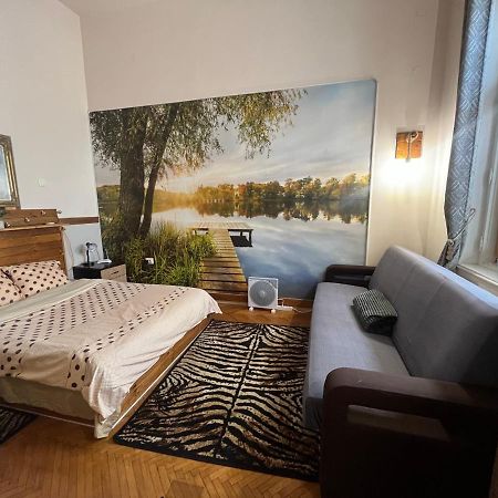 Apartament Ultracentral 2 Piata Muzeului كلوج-نابوكا المظهر الخارجي الصورة