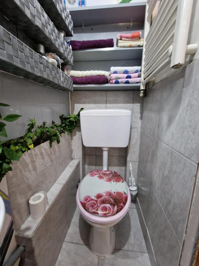 Apartament Ultracentral 2 Piata Muzeului كلوج-نابوكا المظهر الخارجي الصورة
