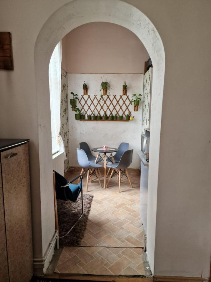Apartament Ultracentral 2 Piata Muzeului كلوج-نابوكا المظهر الخارجي الصورة