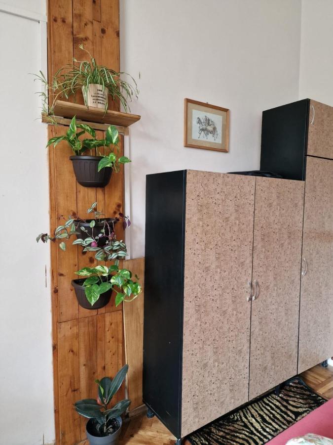 Apartament Ultracentral 2 Piata Muzeului كلوج-نابوكا المظهر الخارجي الصورة