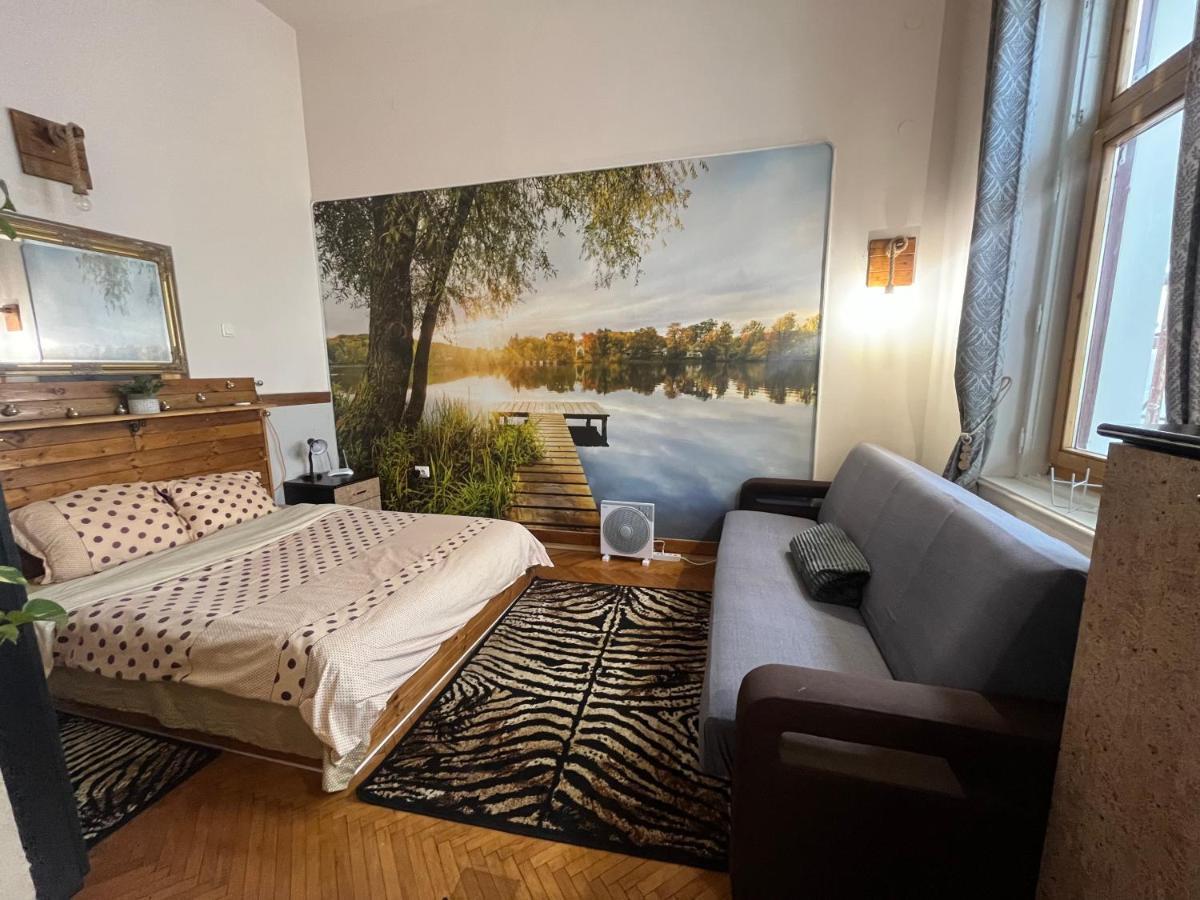 Apartament Ultracentral 2 Piata Muzeului كلوج-نابوكا المظهر الخارجي الصورة